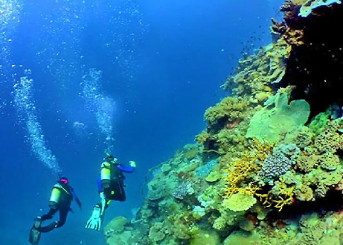 Luxury Alegria Gale Beach,